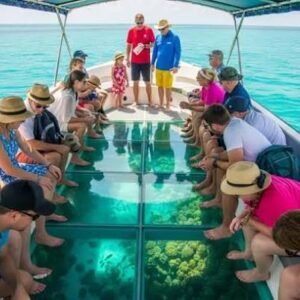 Glass Bottom Boat and Turtle Island Tour Bali In Nusa Dua