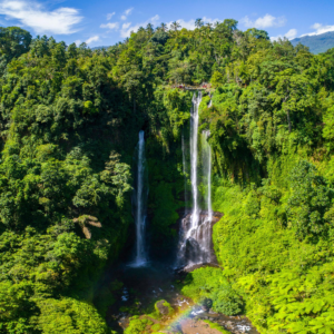 Sekumpul & Fiji Waterfall Trekking