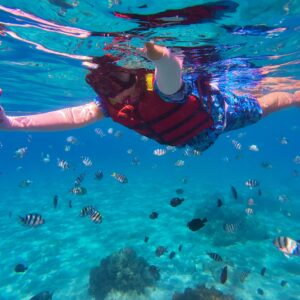 Best Nusa Penida Land Tour with Snorkeling Trip