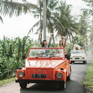 Classic Tour Volkswagen (VW 90 Minutes)