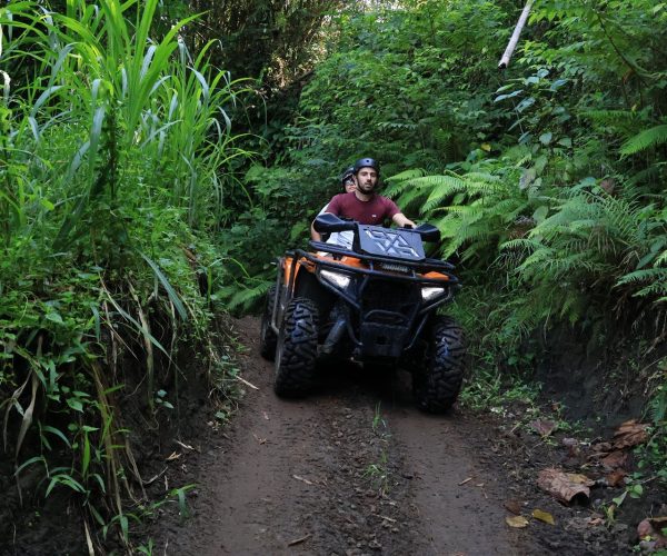ATV GEMA2