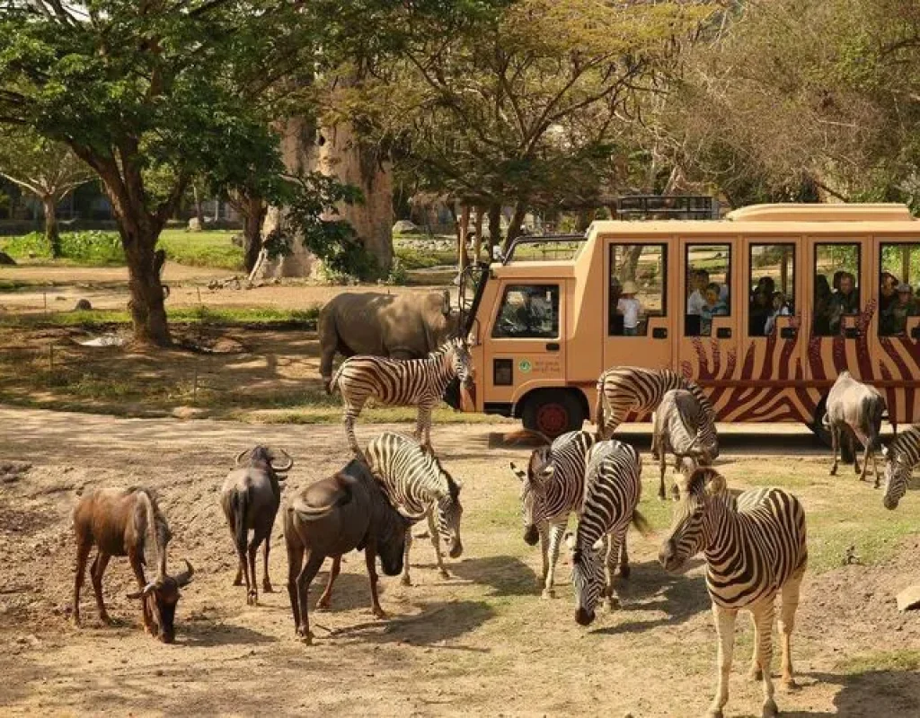 Bali Safari Park 1