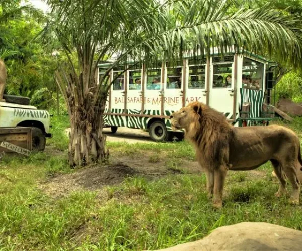 Bali Safari Park