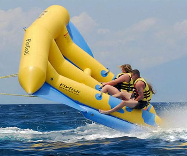Flying Fish Ticket 2