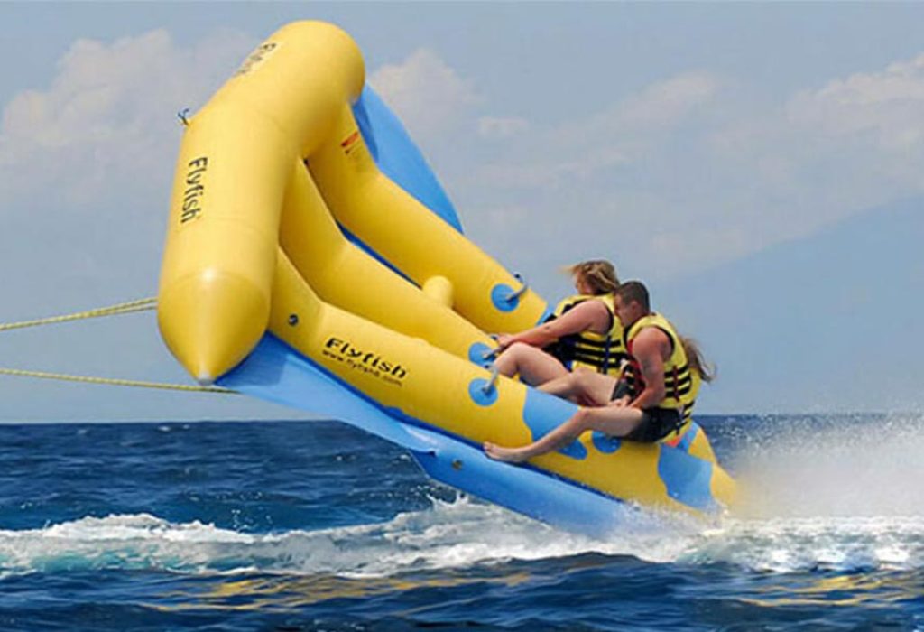Flying Fish Ticket 2