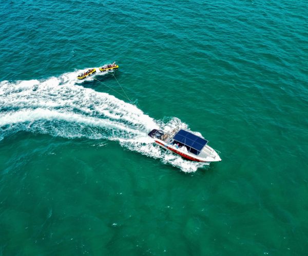 Flying Fish Ticket 3
