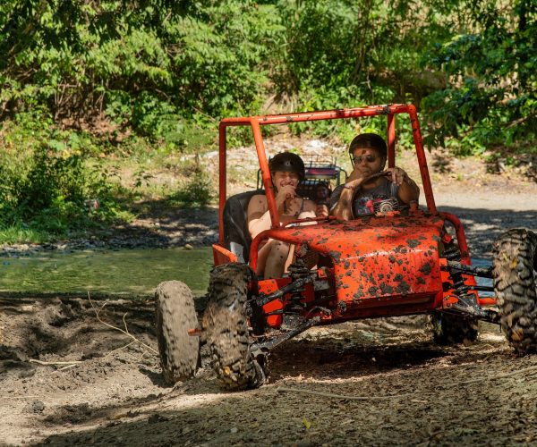 UTV Buggy3