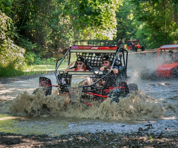 UTV Buggy5