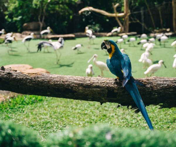bird park1