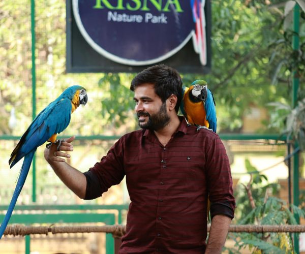 bird park2