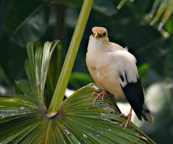 bird park3