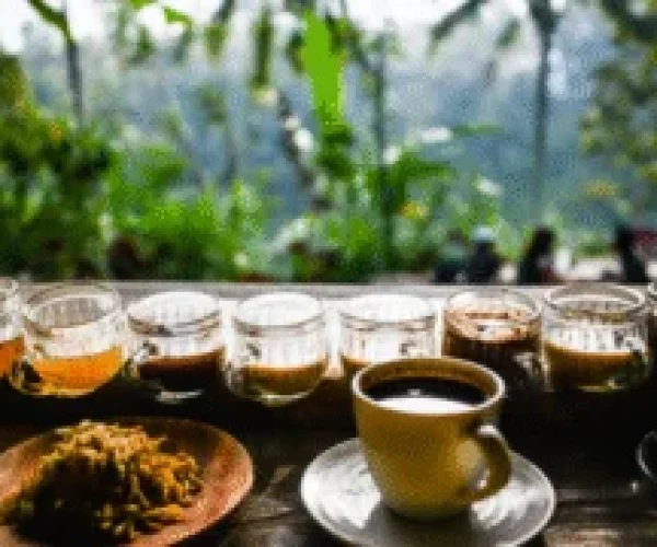 coffee