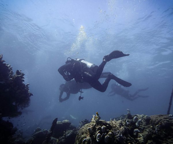 diving1
