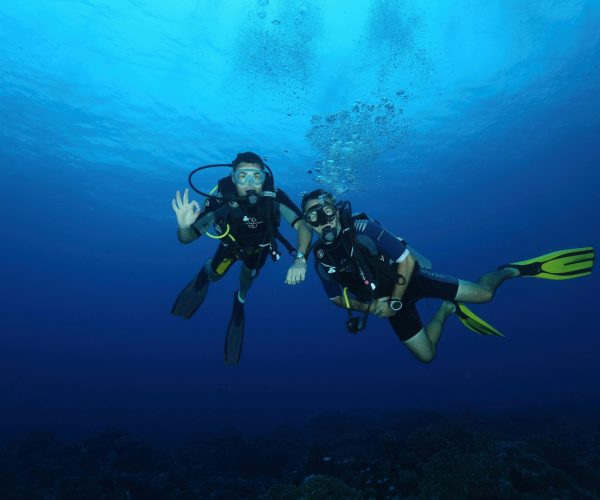 diving4
