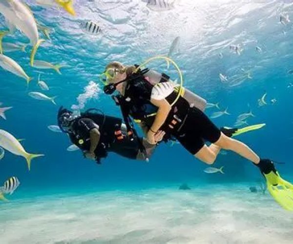 diving6