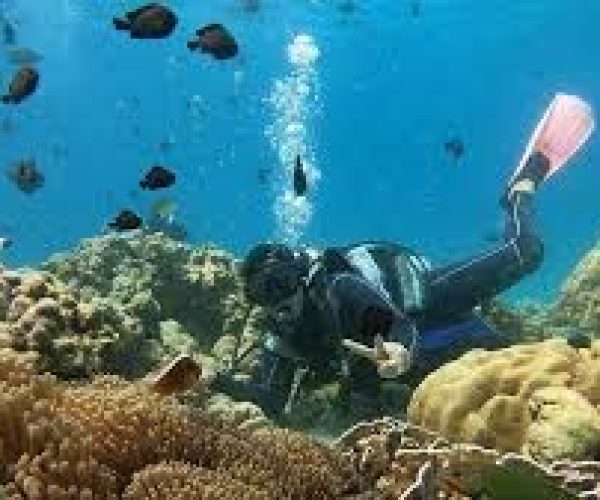diving8
