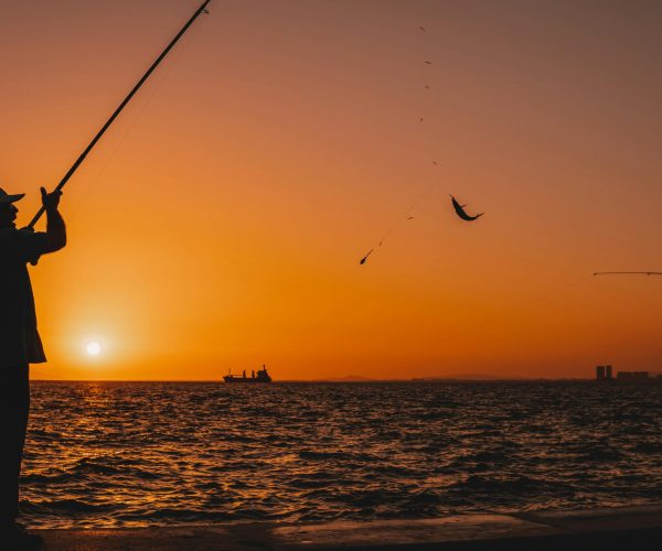 fishing4
