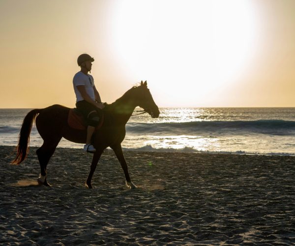 horse riding1
