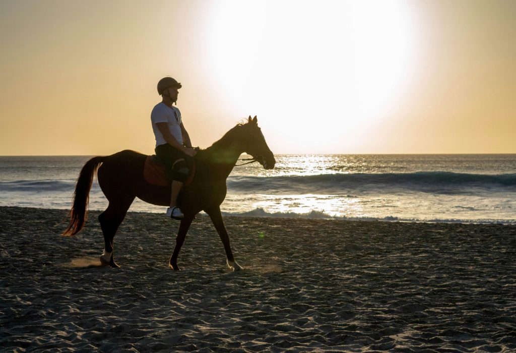 horse riding1