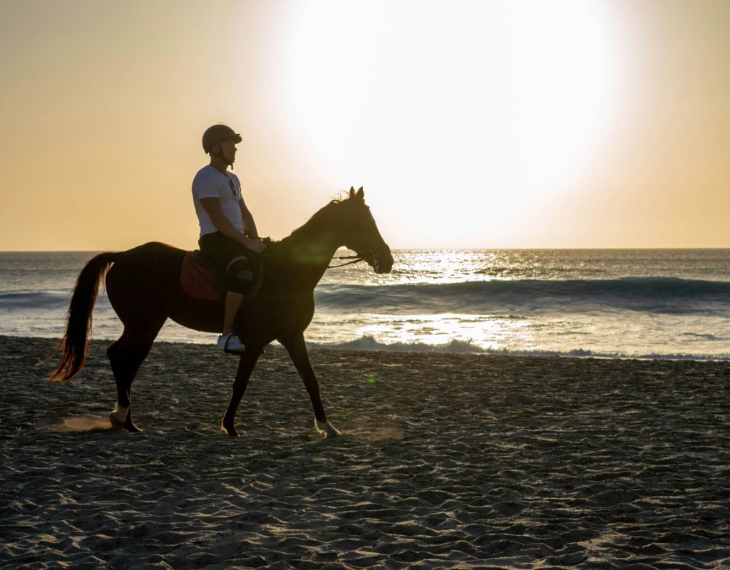 horse riding1
