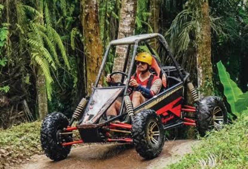 images - 2026-06-14T111540.064
