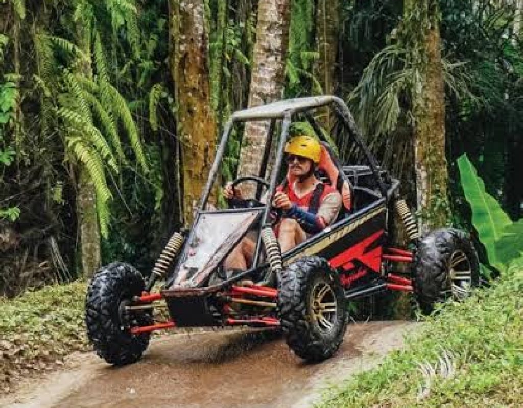 images - 2026-06-14T111540.064