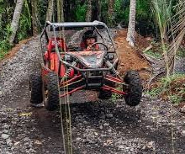 images - 2026-06-14T111606.666