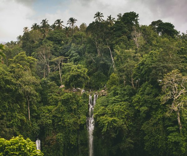 sekumpul waterfall 1