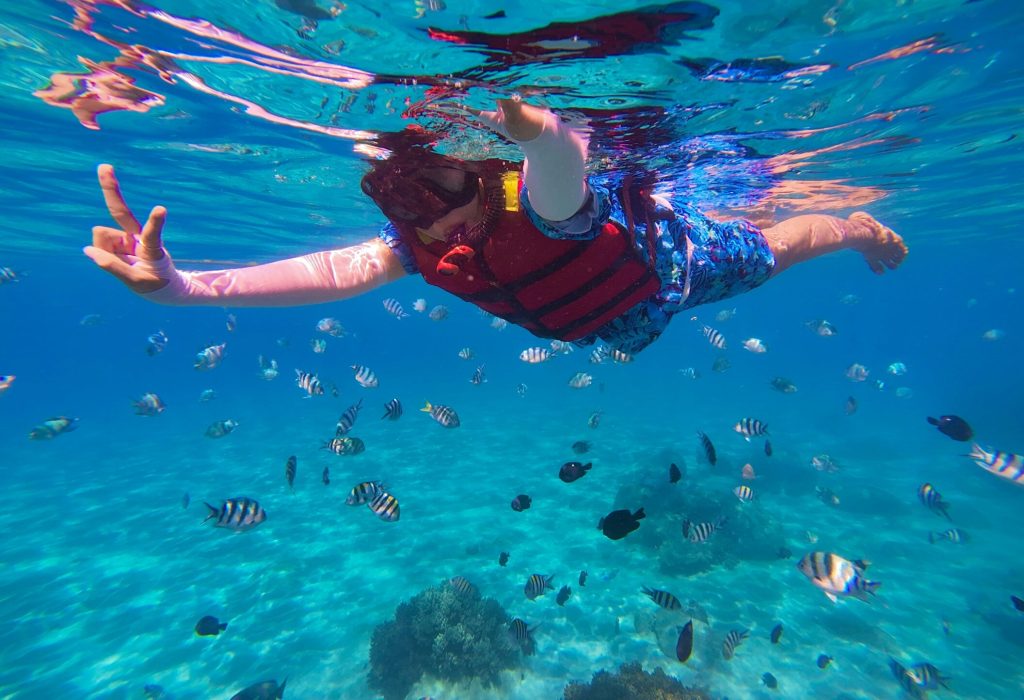 snorkeling6