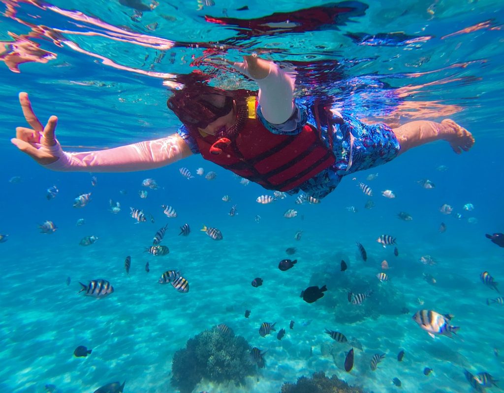 snorkeling6