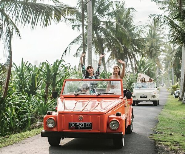 vw safari