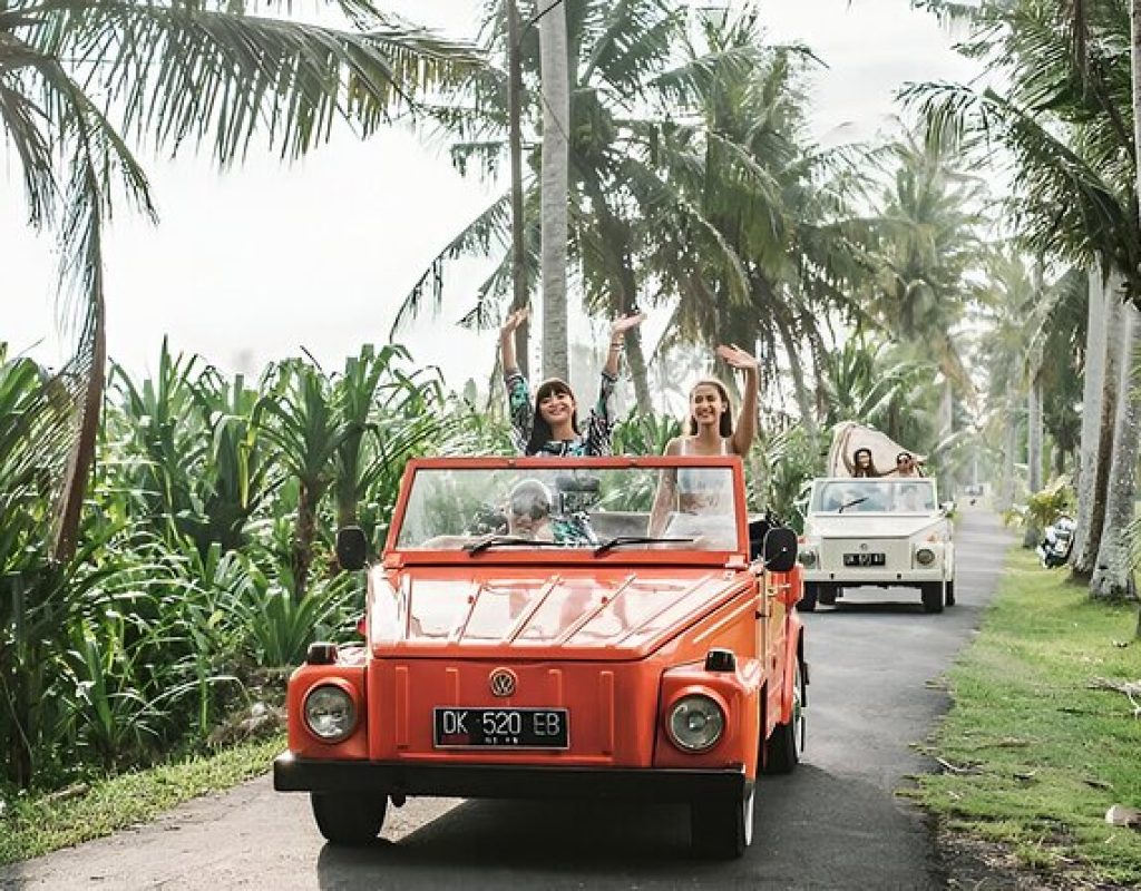 vw safari