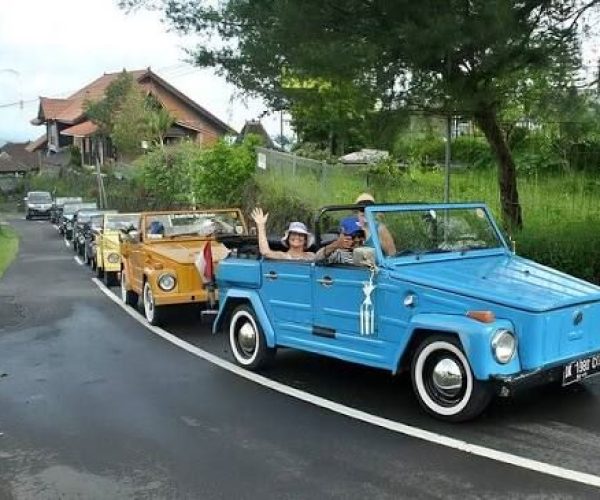 vw2